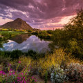 Discovering the Best Local Gems in Maricopa County, AZ