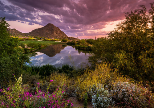 Discovering the Best Local Gems in Maricopa County, AZ